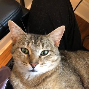 Meet your Posher, Ann